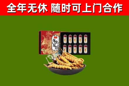 东乡烟酒回收冬虫夏草礼盒.jpg